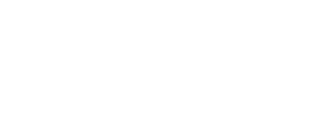 cyber-celu2